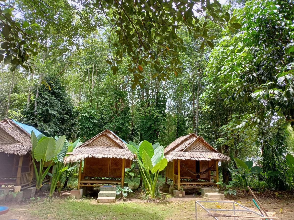 Khai Jungle Experience Camp & Tour Lägenhet Khao Sok National Park Exteriör bild